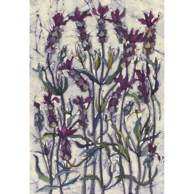 No.764 French Lavender - signed print.